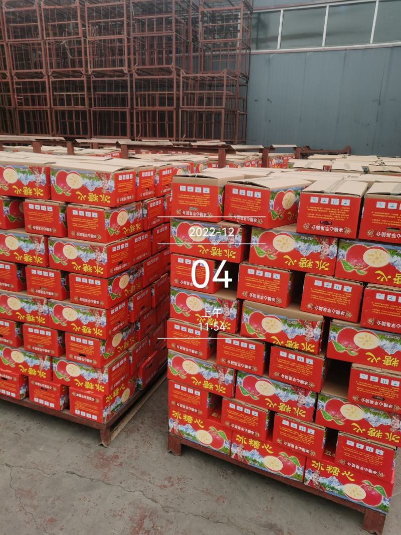 冰糖心膜袋红富士苹果脆甜多汁按需分拣打包设备齐全备货快运费低