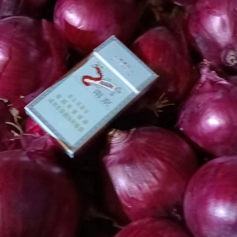 精品黄色洋葱大量供应视频看货品质保证量大从优