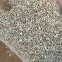 （推荐）优质花生秧叶粉，无土无膜价格不高无土无膜颜色绿，