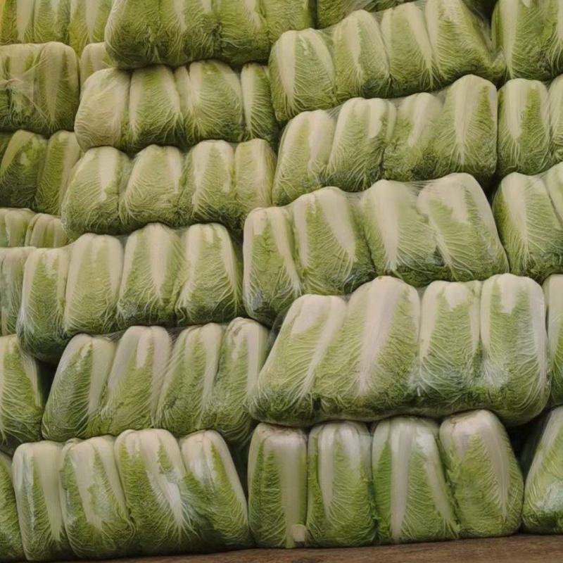 白菜，大量供应，品质保证，商超，加工厂货大量供应，，