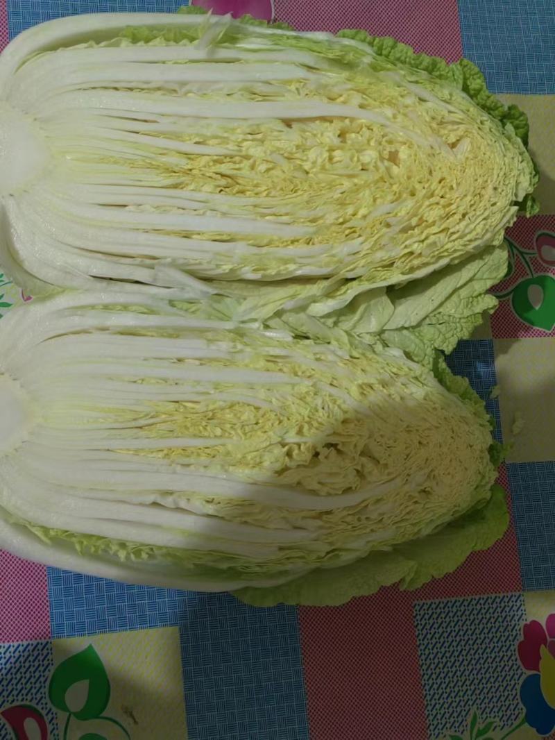 白菜，大量供应，品质保证，商超，加工厂货大量供应，，