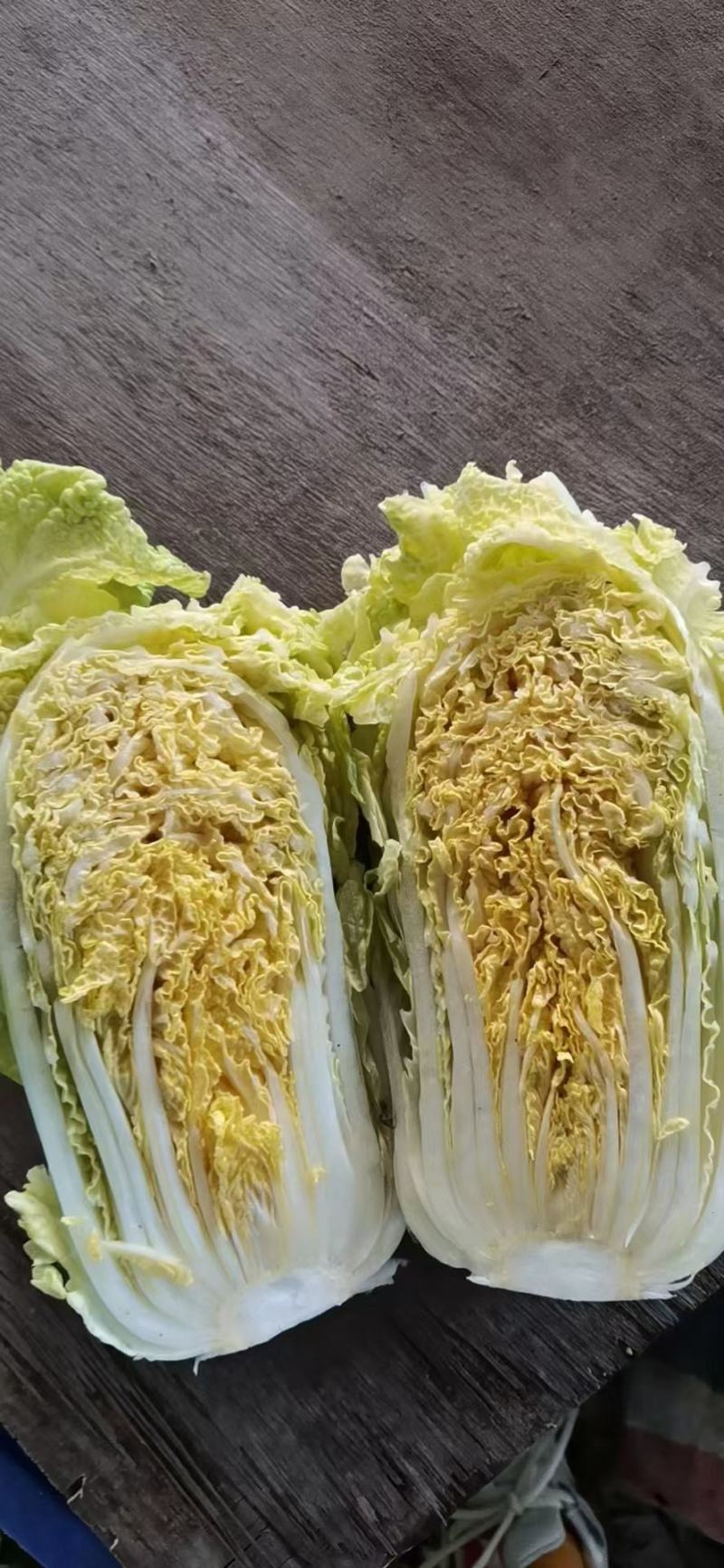 白菜，大量供应，品质保证，商超，加工厂货大量供应，，
