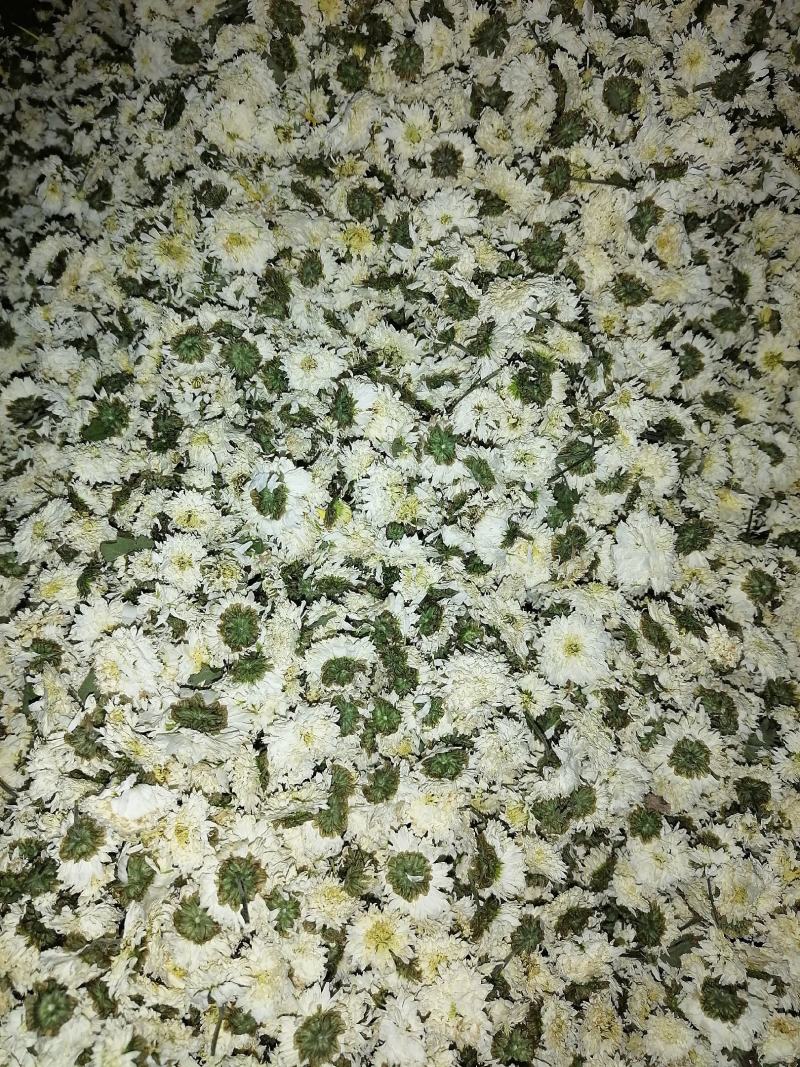 罐装精品贡菊花，皇菊花！（品质可靠，货真价实）