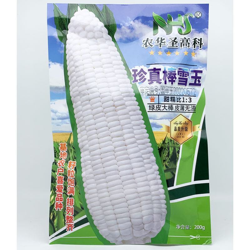 珍真棒雪玉白甜糯玉米种子绿皮大棒非转基因加甜糯玉米原装