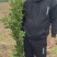 纽荷尔脐橙苗，品种纯，根系好，交通便利，货源充足。