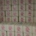 土豆真好，有需要的老板可以下单了