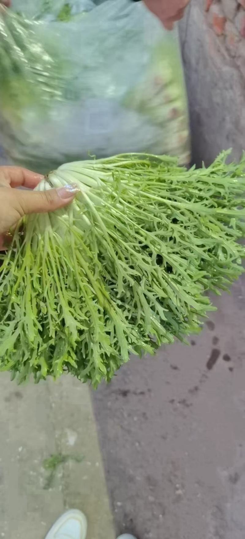 土豆真好，有需要的老板可以下单了