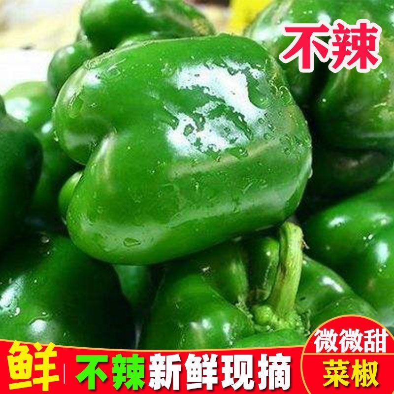 【推荐】产地直发优质太空椒绿椒，一手货源欢迎订购