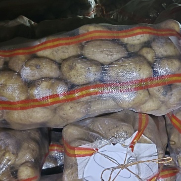 大风十干洗码面