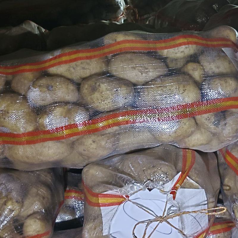 大风十干洗码面