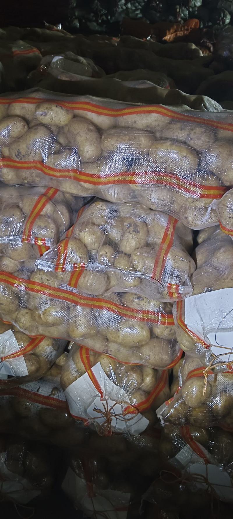 大风十干洗码面