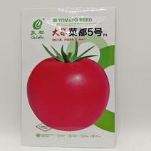 （推荐）粉果番茄种子大果菜都5号无限生长品质优