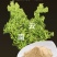 新鲜食用生姜粉纯正老生姜粉云南小黄姜粉厂家直销量大优惠