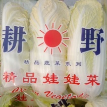 精品小娃。包装。