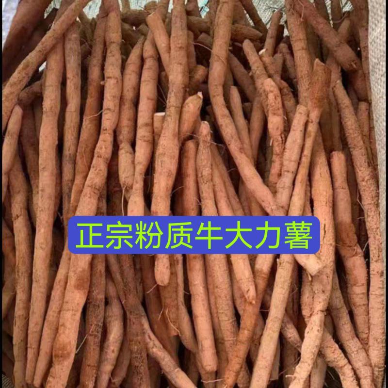 新鲜粉质小次薯，一斤起包邮，40斤起批发价。