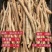 新鲜粉质小次薯，一斤起包邮，40斤起批发价。