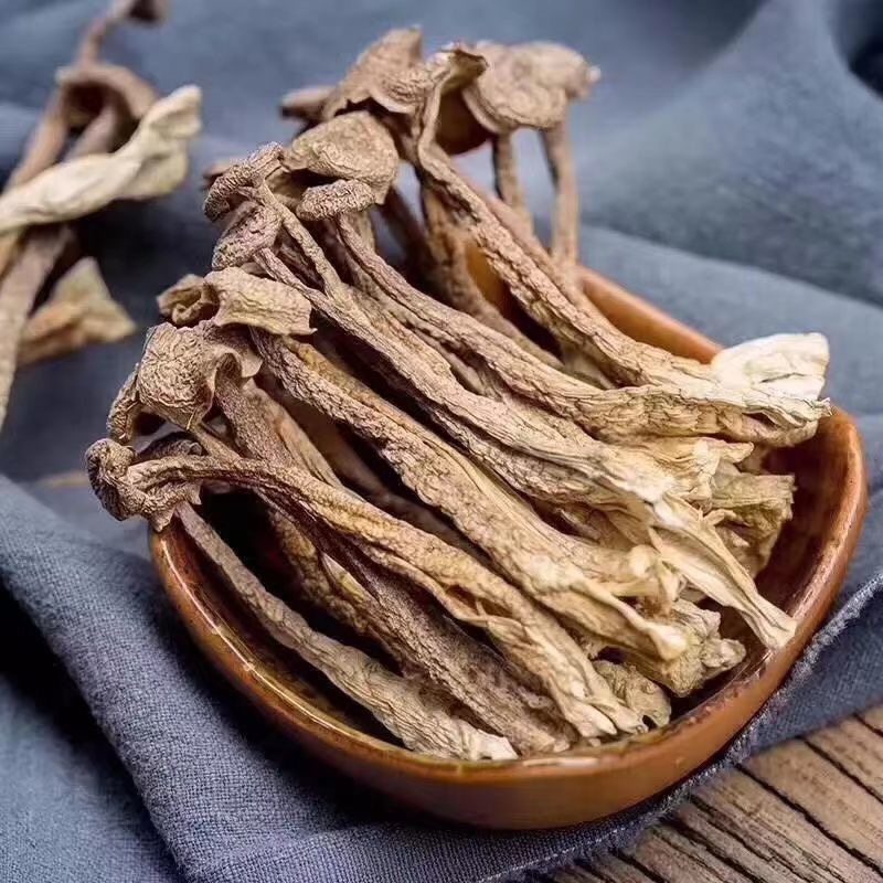 古田精品鹿茸菇包邮特惠持续供货量大价优规格齐全