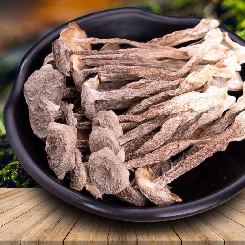 古田精品鹿茸菇包邮特惠持续供货量大价优规格齐全