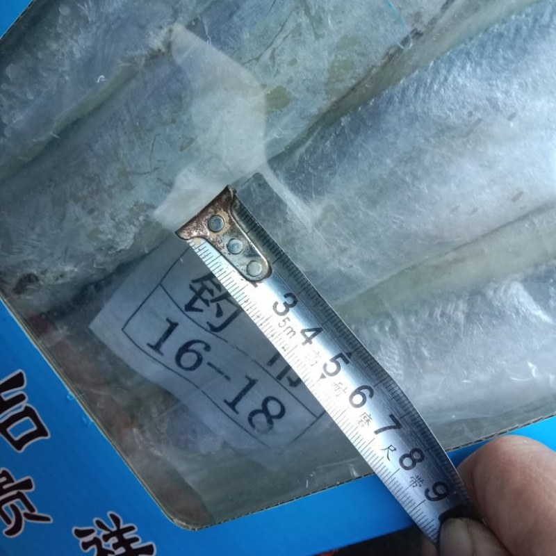 热卖品新品舟山带鱼年货团购电商！！！！鲜