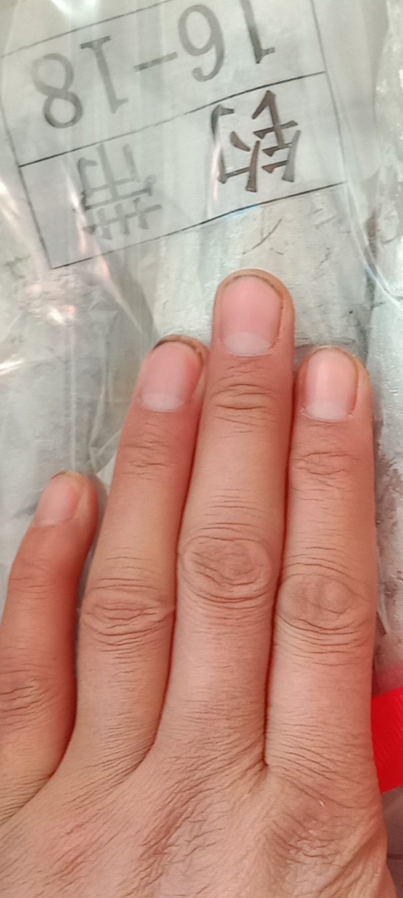 热卖品新品舟山带鱼年货团购电商！！！！鲜