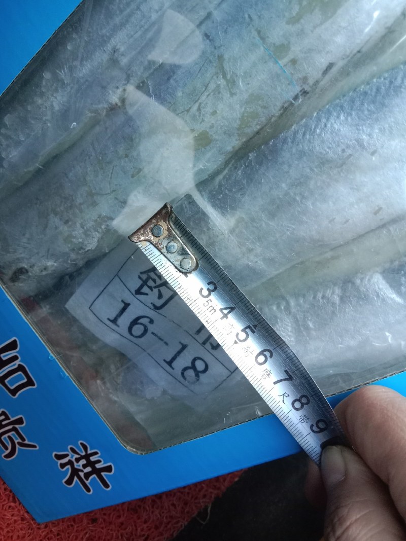 热卖品新品舟山带鱼年货团购电商！！！！鲜