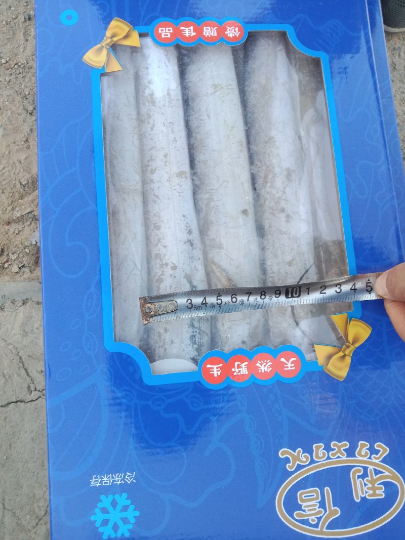 热卖品新品舟山带鱼年货团购电商！！！！鲜