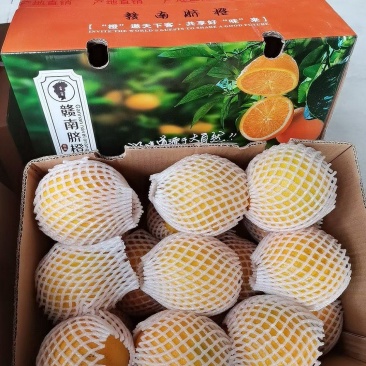 赣南橙