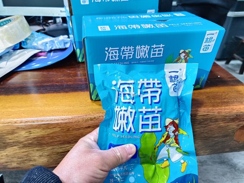 霞浦原产地海带嫩苗，产地直发，纯一手货源