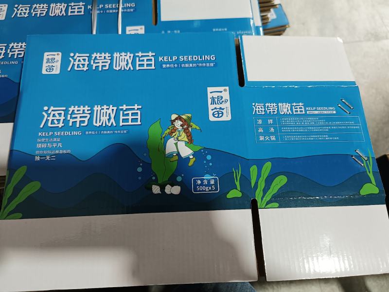 霞浦原产地海带嫩苗，产地直发，纯一手货源
