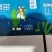 霞浦原产地海带嫩苗，产地直发，纯一手货源