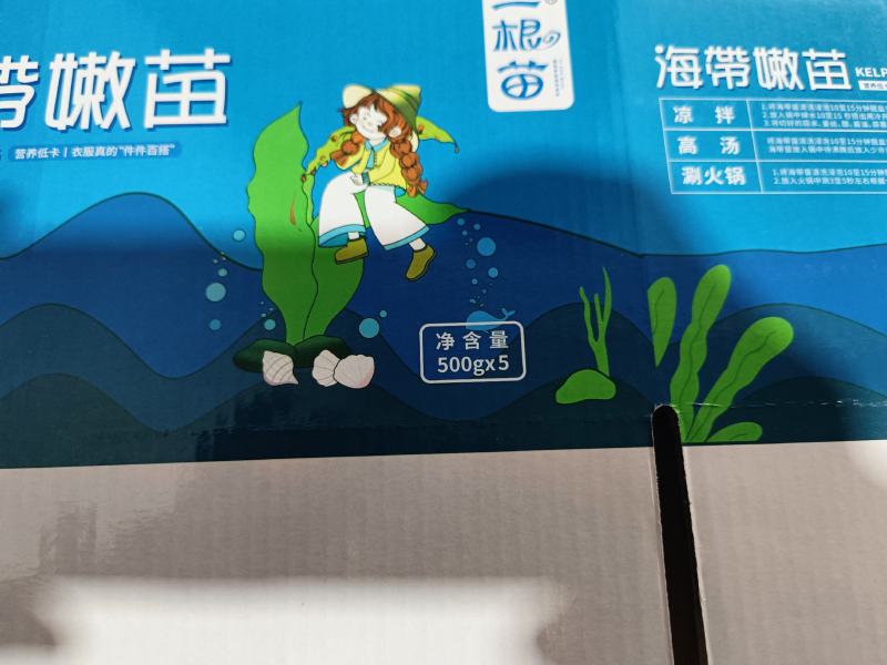 霞浦原产地海带嫩苗，产地直发，纯一手货源