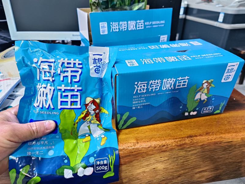 霞浦原产地海带嫩苗，产地直发，纯一手货源
