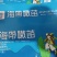 霞浦原产地海带嫩苗，产地直发，纯一手货源