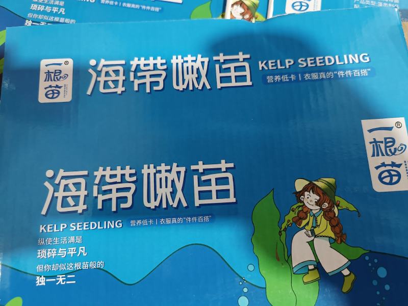 霞浦原产地海带嫩苗，产地直发，纯一手货源