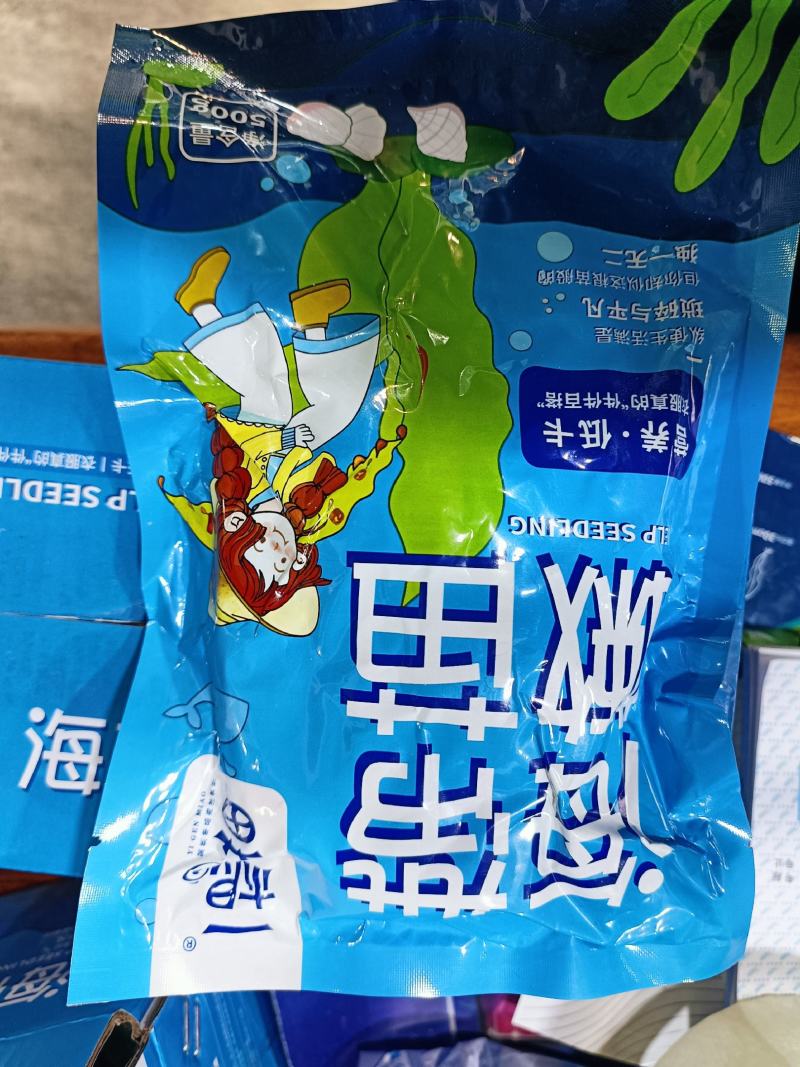 霞浦原产地海带嫩苗，产地直发，纯一手货源