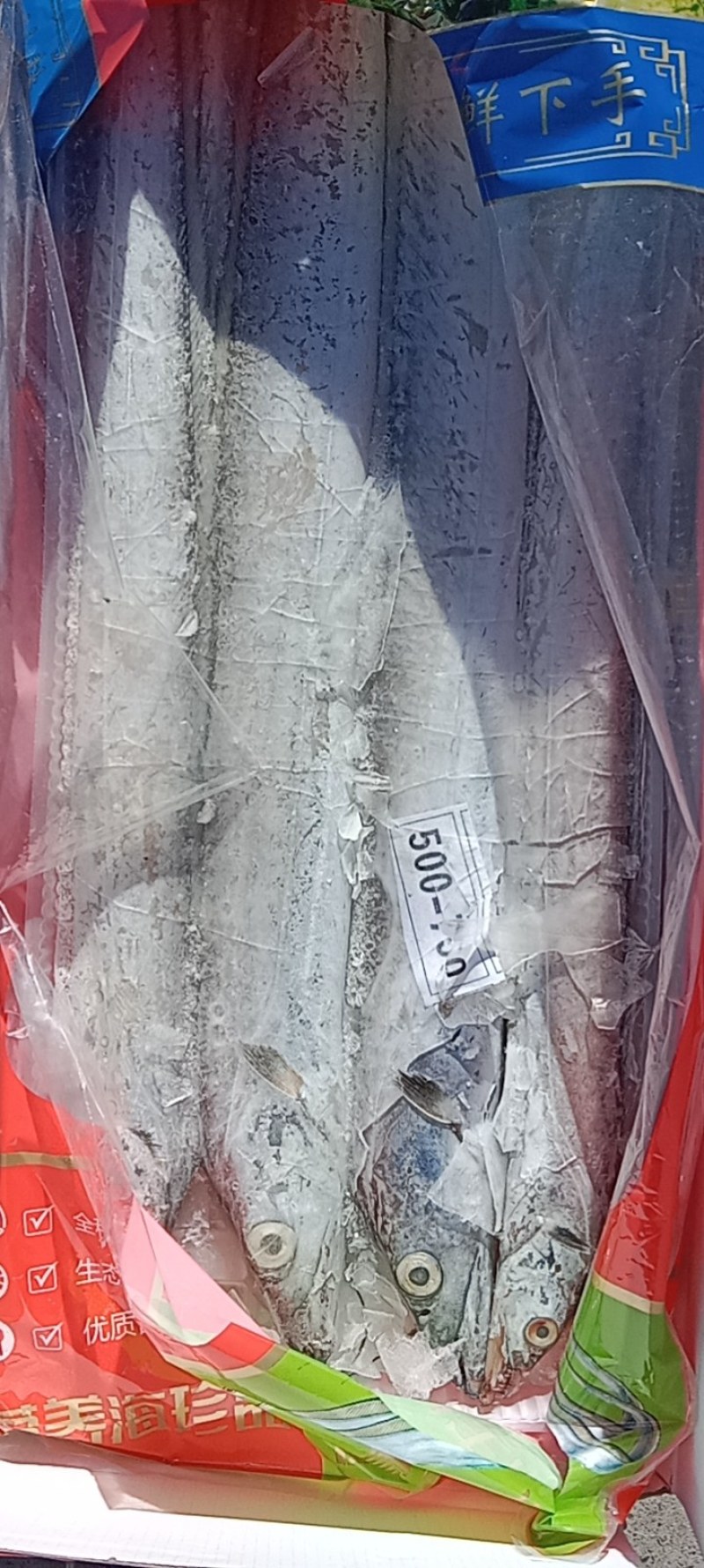 热卖舟山带鱼新带口感好年货团购电商！！！