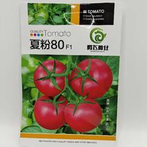 （推荐）粉果抗TY番茄种子夏粉80货期长品质优