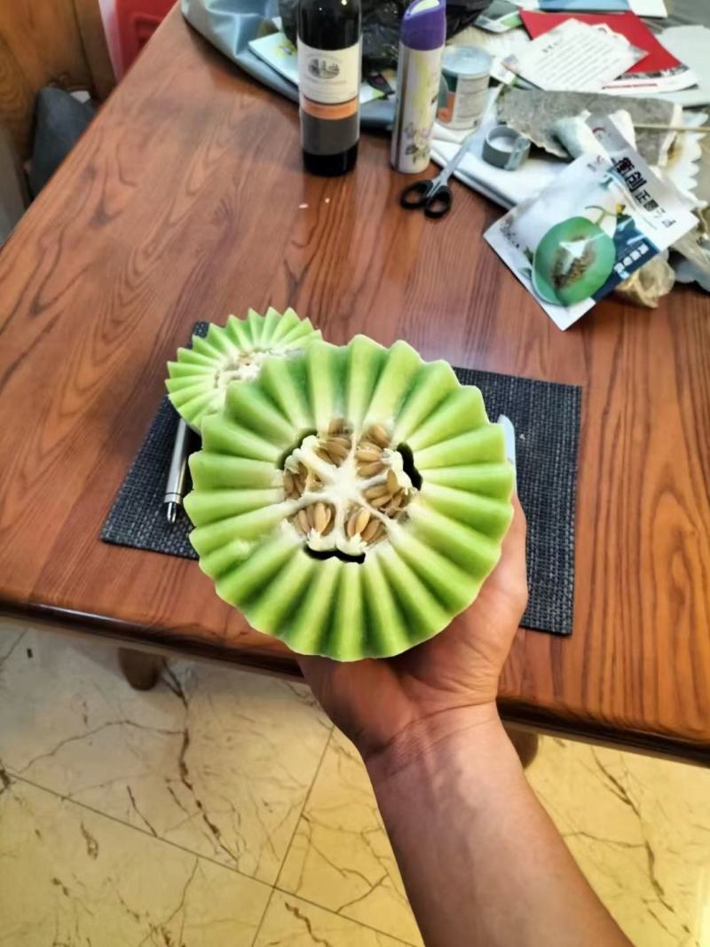 农友玉姑甜瓜种子绿肉含糖量高易管理抗病原包装进口品种