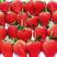 【优选】甜宝草莓大量上市产地直发。欢迎咨询