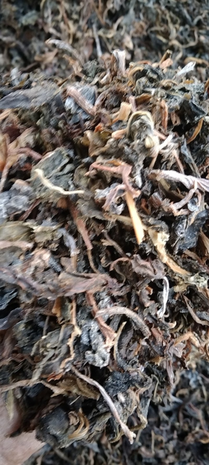 【泡菜】干酸菜，梅干菜。切断酸菜干。农户自制土特产。