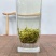 黑美人茉莉花茶广西横州中华茉莉花园浓香型花茶