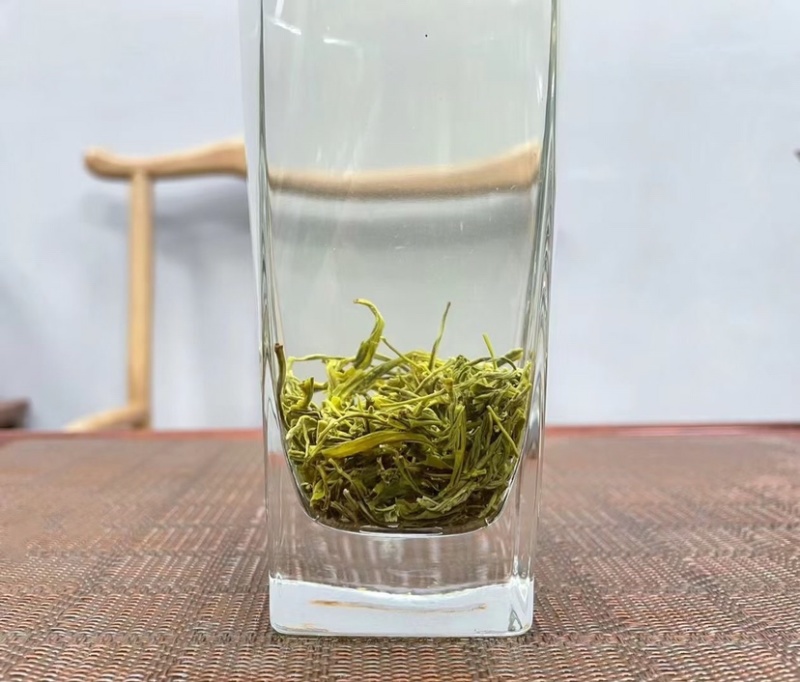 黑美人茉莉花茶广西横州中华茉莉花园浓香型花茶