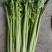 山东高青-精品法国皇后西芹芹菜-物流全国。可以视频看货