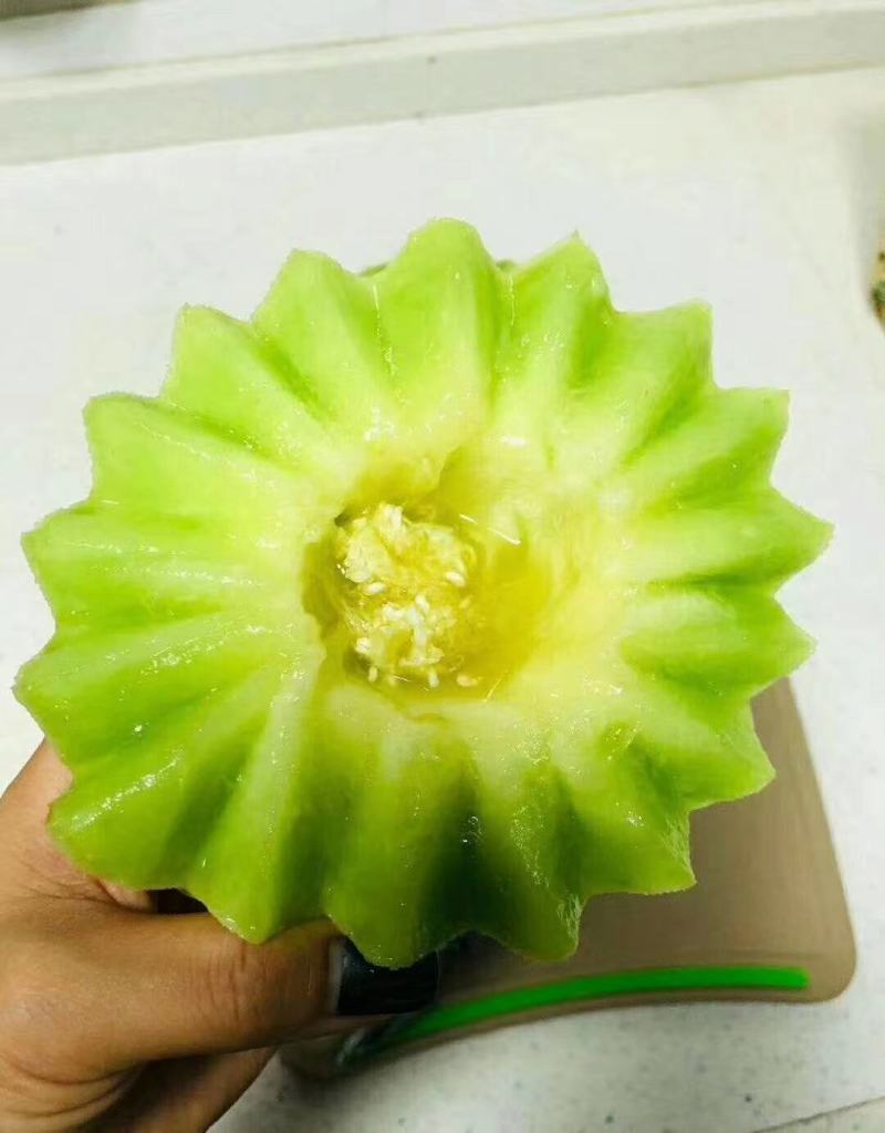 农友玉姑甜瓜种子绿肉含糖量高易管理抗病原包装进口品种