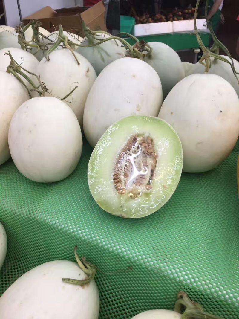 农友玉姑甜瓜种子绿肉含糖量高易管理抗病原包装进口品种