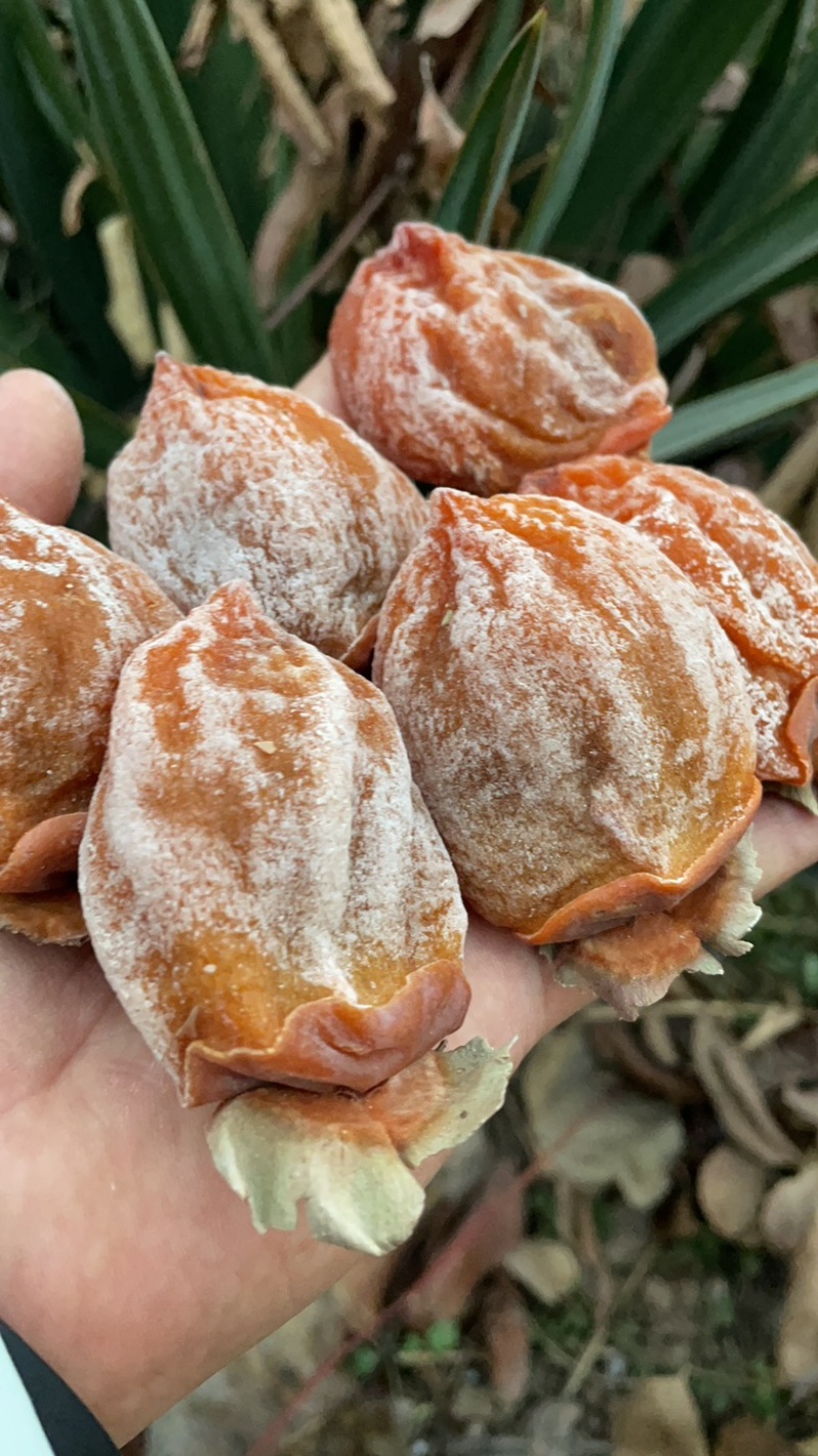 陕西富平吊柿饼霜饼自然晾晒软糯香甜一件代发