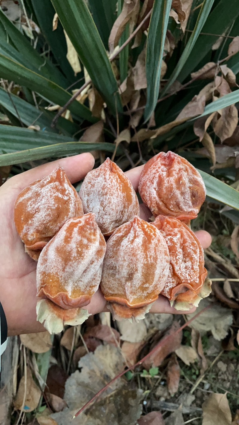 陕西富平吊柿饼霜饼自然晾晒软糯香甜一件代发