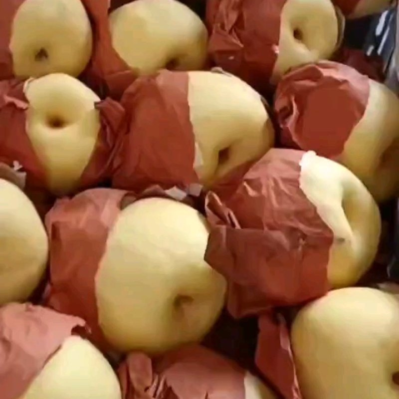 精品砀山酥梨果面干净，皮薄核小一手货源各种包装一条龙服务