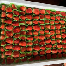 精品妙香草莓个大自产自销货源稳定价格品质好欢迎