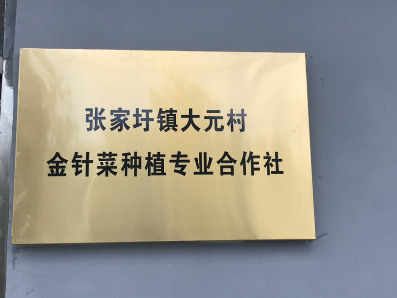 2023年新货上架了，好品质看得见💪💪💪